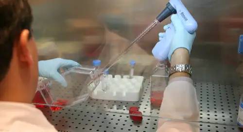 img_laboratorio_celular <p>Laboratorio Terapia Celular </p>
