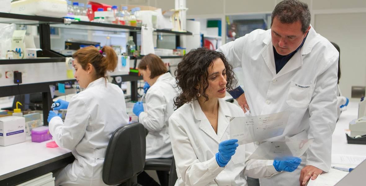 dia-mundial-cancer-segunda-generacion-inmunoterapia Imagen de un equipo de investigación del Cancer Center Clínica Universidad de Navarra tiene en marcha 206 ensayos clínicos frente al cáncer, 115 de ellos liderados por Oncología Médica.