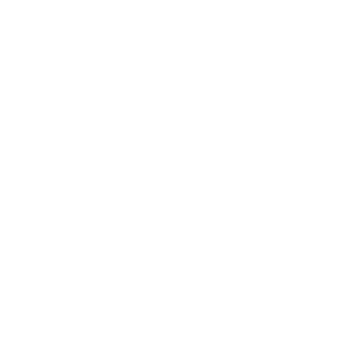 Icono cerebro con hemisferios Imagen de un icono blanco de un cerebro con hemisferio derecho e izquierdo.